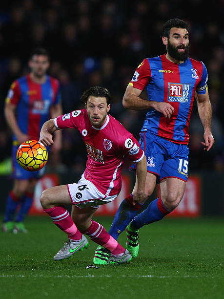 因及可能的 因及可能的